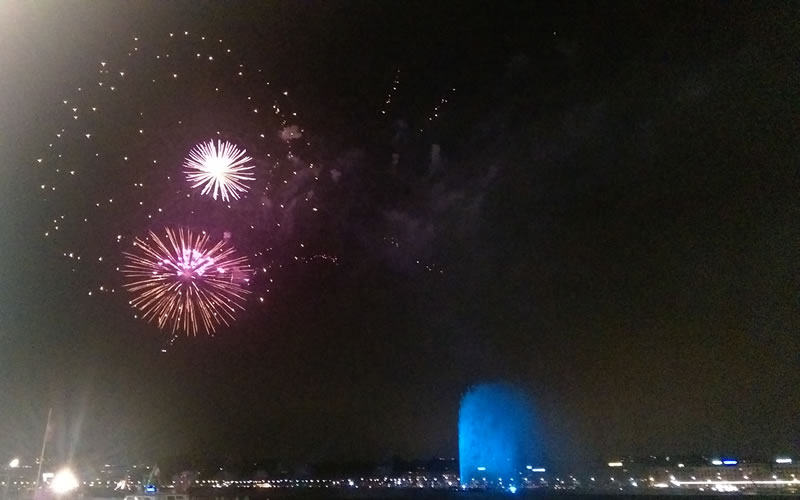 Geneva 2014